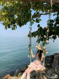 Ảnh bìa của Thẩm Du