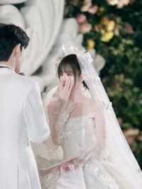 Ảnh bìa của Sự Giả Dối Của Tình Yêu