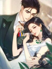 Ảnh bìa của Cô Dâu Bán Chồng Cũ